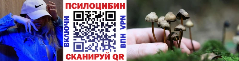 Псилоцибиновые грибы мухоморы  Купить закладки  Пошехонье 